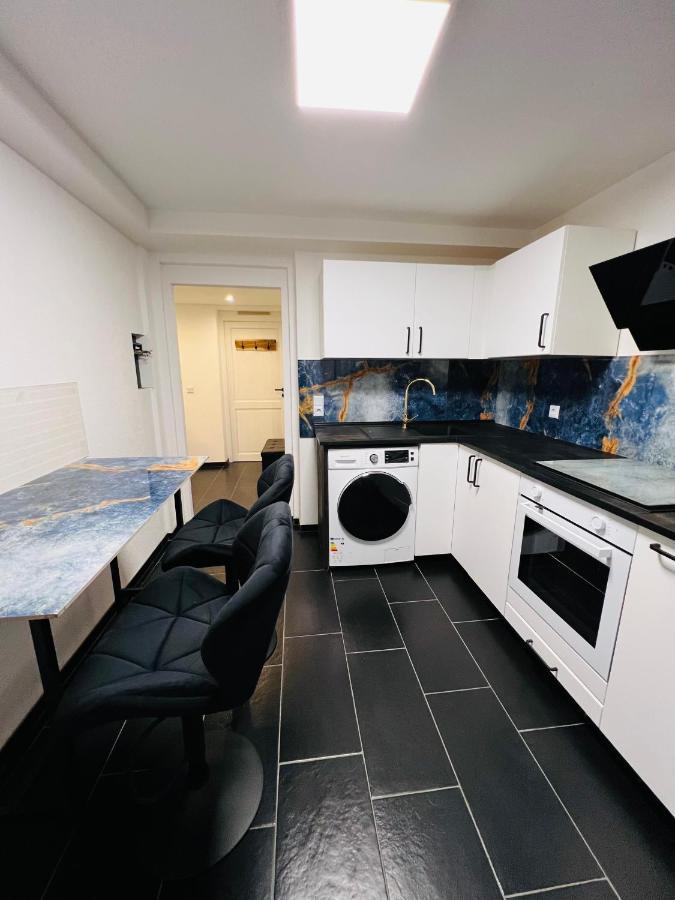 Souterrain 2 Zimmer Wohnung Freiburg Seepark Kültér fotó